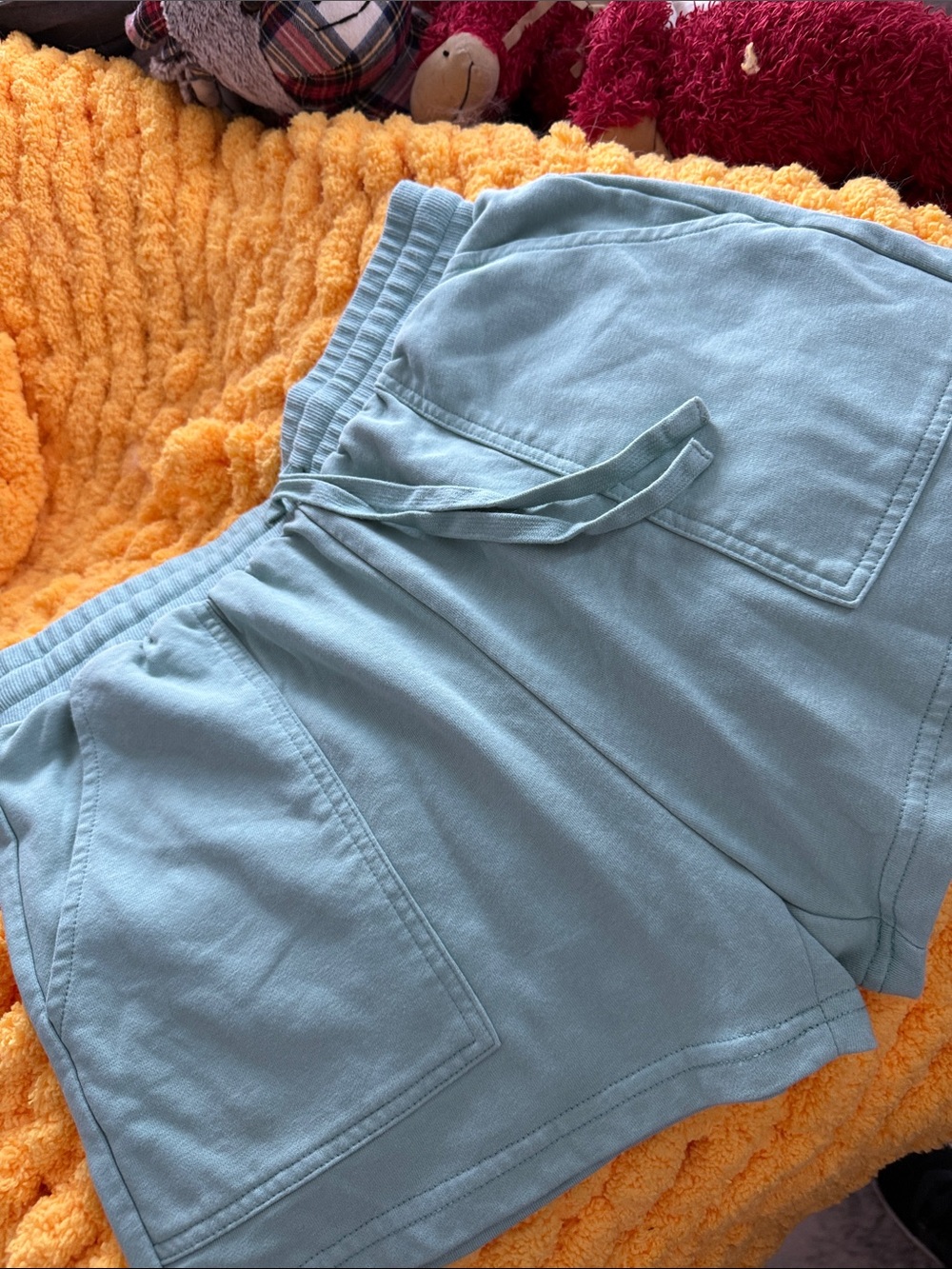 Casual Women's Sage Green Drawstring Shorts